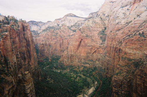 Oh Utah, I must return unto thee. This may have only been about halfway up the Angel’s Landing hike.