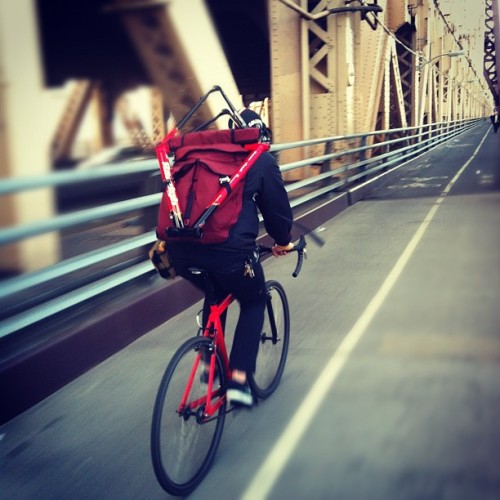 gnar666: Action Jackson! Me riding on the 59st Bridge. Photo by Alucardbelmont