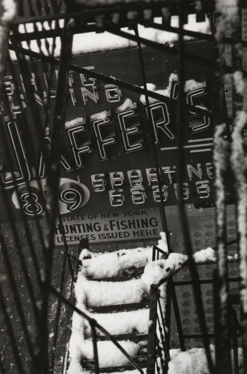 liquidnight:  W. Eugene Smith Untitled [neon sign through snow-covered fire escape] New York City, 1957-58 From W. Eugene Smith: Photographs 1934-1975 