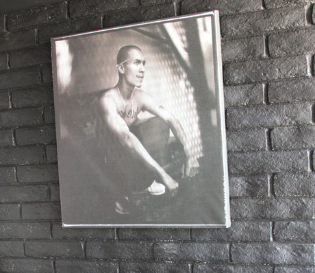 risasgee:  Too Young To Die, Too Proud To Cry -Conejo 