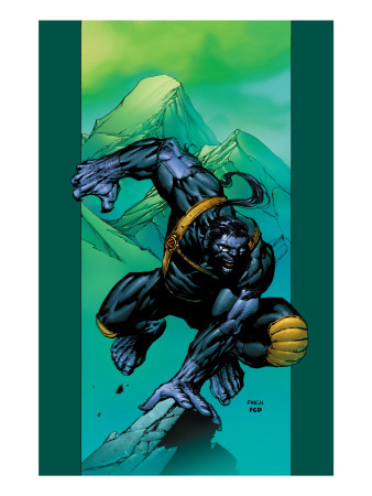 northstarfan:  Various Ultimate X-Men covers. Available as posters at Art.com