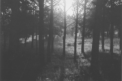 diacetyl-morphine.tumblr.com/post/15126203814/