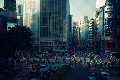 Wonderland
