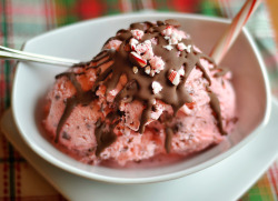 gastrogirl:  candy cane stracciatella gelato.