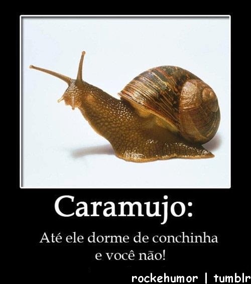 Vamos combinar