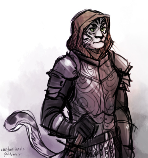 My manly cat guy BacardiI was going to do the whole Khajit thief thing until I realized you can dual