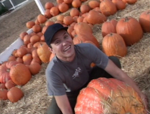 austin-carlile-is-my-boo:Fall is here. Please have a picture of Mark Hoppus holding a pumpkin. Be ha