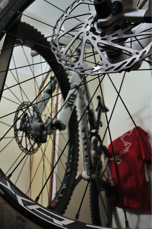 crankadventure: Mirrored dualie