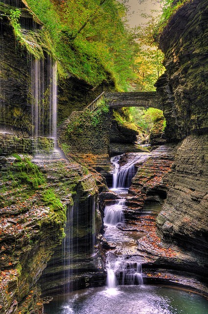 bluepueblo:  Watkins Glen State Park, New York photo by schimdtfamily 