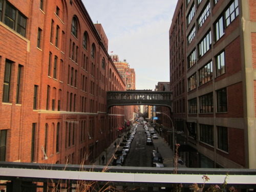 Highline. Chelsea/Meat Market.  New York City, NY.  December, 2011 