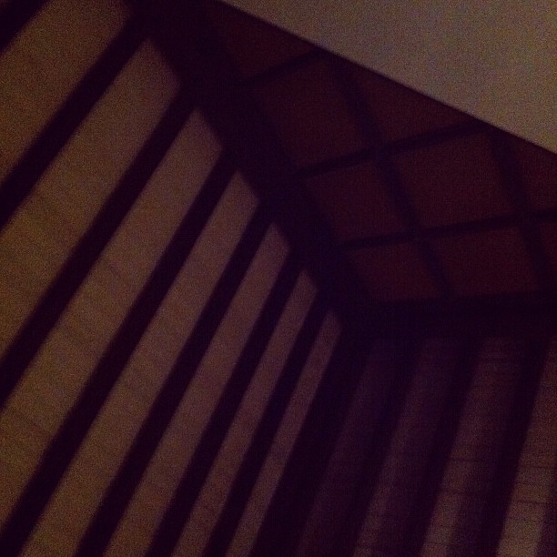 Meanwhile, in a treehouse en el yunque&hellip; (Taken with instagram)