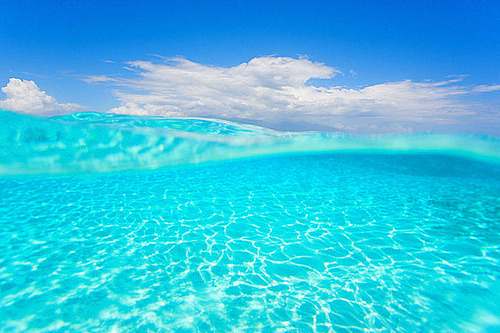 h-a-p-p-y-summer:  Follow h-a-p-p-y-summer for colorful summer pictures all year round! :)