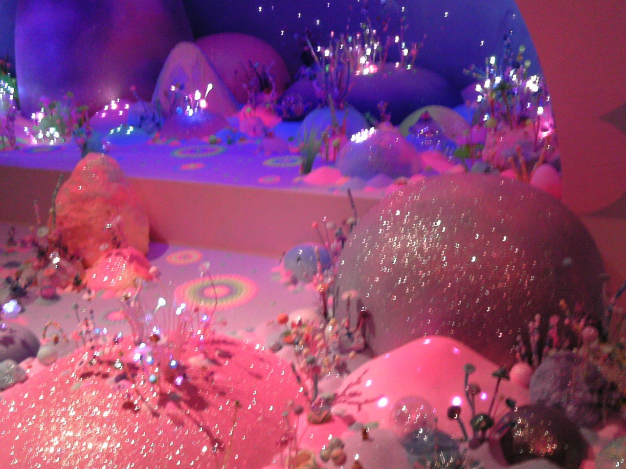jodiesparkes:  Photos from Pip &amp; Pop’s glorious exhibition we miss you