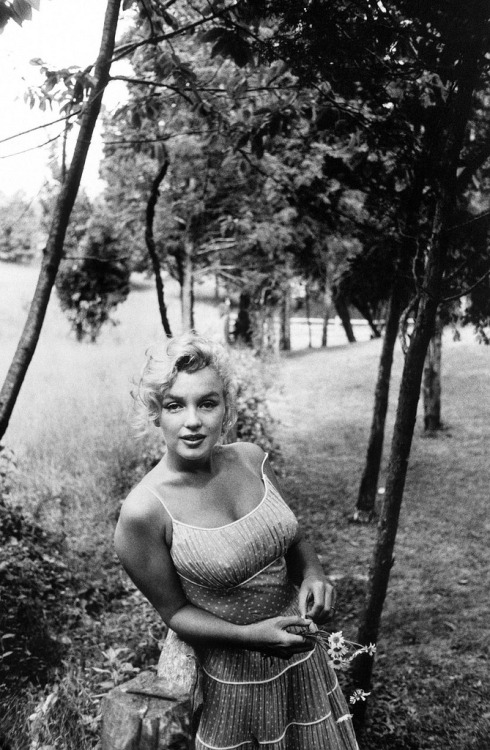 retrobeautytimemachine: pokeyinak: theimpossiblecool: Monroe. photo by Sam Shaw Damn