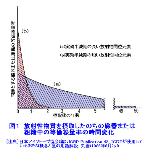 http://www.rist.or.jp/atomica/data/pict/09/09040209/01.gif
より引用
放射性物質を摂取したのちの臓器または組織中の等価線量率の時間変化
ヨウ素がb，セシウム，ストロンチウムはa