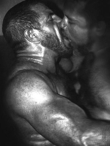 Hot Bears Kissing