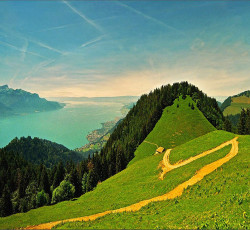 bluepueblo:  Footpath, The Alps, Switzerland