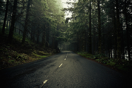 tumblr photo amndaax 0