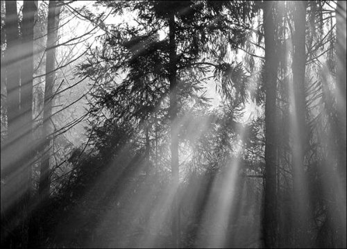 Sacred Serenity