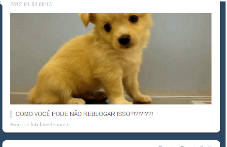  E como você pode não reblogar isso ?  Os dois são lindos igualmente. 