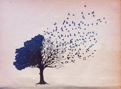 Words do not express thoughts very well.