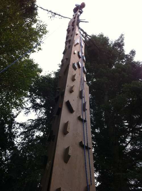 This was back in early September for Phoebe’s birthday. She likes to get to the tippity top and she is damn good at it! David built this two sided climbing wall up a tree for her birthday.