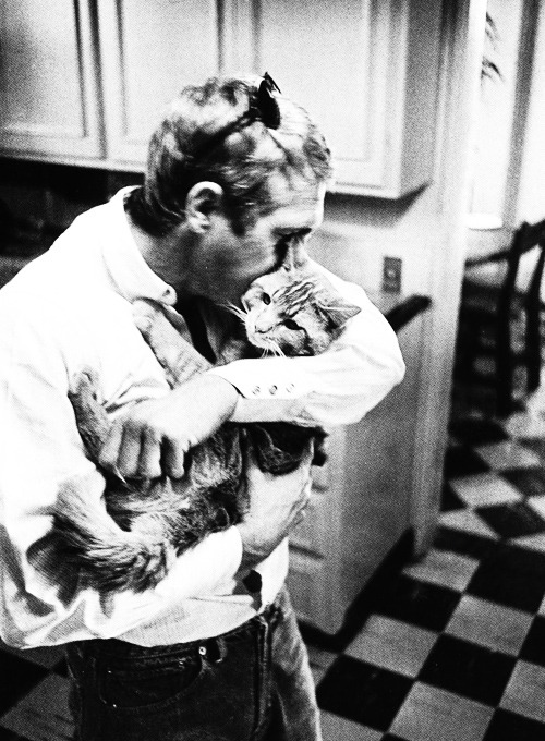 thearcalian:missavagardner:Steve McQueen with his cat, photographed by William Claxton, 1963.@mostly