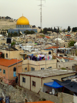 weld-el-hay:  cheapocheapo:  Old City rooftops, Jerusalem,Palestine April, 2011. Photo by me.  Al Qods, PALESTINE 