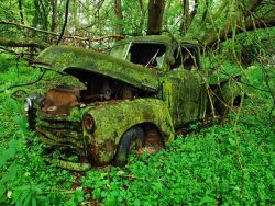 nationalgeographicdaily:  Moss-Covered Truck, MichiganPhoto: Jason Rydquist It’s hard to imagine this 1940s Chevrolet pickup moving down the road. Showcasing the ephemeral truth of automobiles, the earth has overtaken it. 