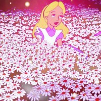 Sex happilyeverprincess:  All the flowersWould pictures