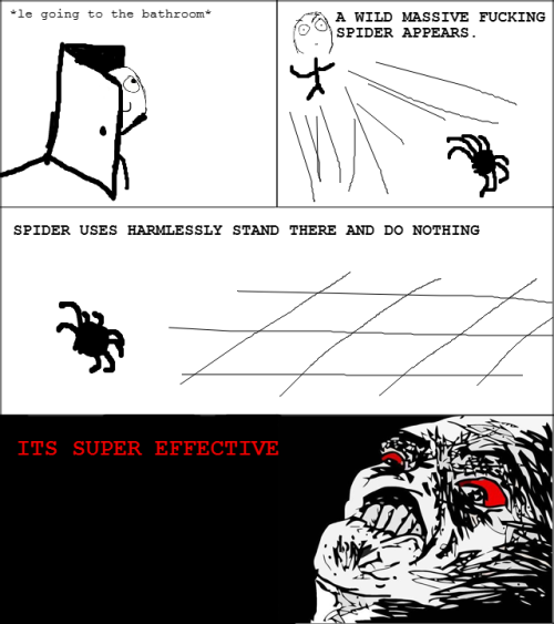 Spider Rage