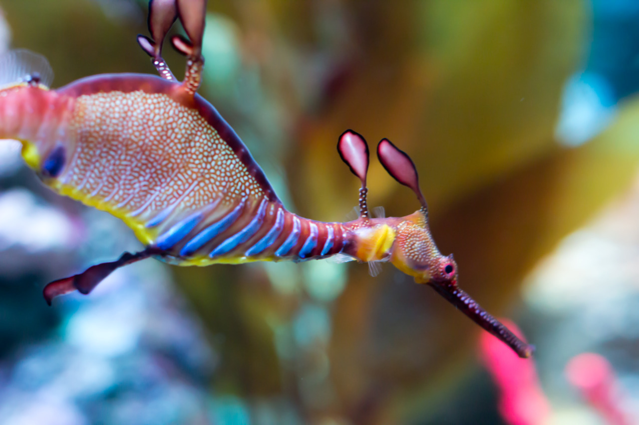 neaq:  Things are getting back to normal after a busy school vacation period here