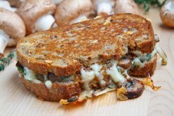 foodopia:  mushroom grilled cheese sandwich: