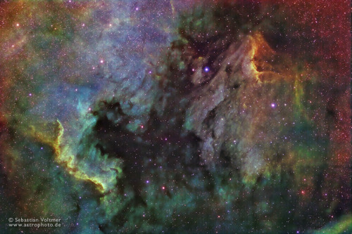 iliveinaspiralgalaxy: North America Nebula / NGC 7000