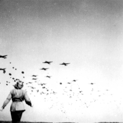 Madamezucker:  Marlene Dietrich Watching The 82Nd Airborne Division Land. 