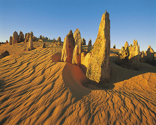 Pinnacles Desert, Cervantes, Western Australia © Stefano_p