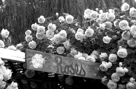 I'll follow you into the dark