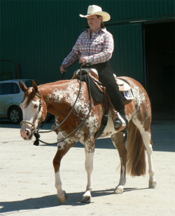 Quarter Horse; Sass, Class & Ass
