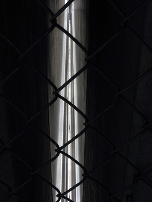 thewayhelives:  Through the Wire