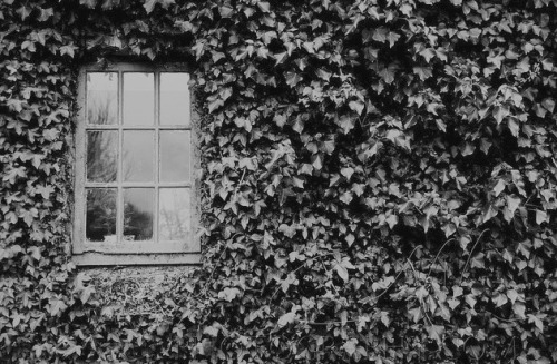 lamkatarina:  source 