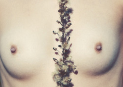 annalauramasciave:  The Naked Project / Part 2 is  OUT! Check it on my BLOG (Photography by Annalaura Masciavè)  voll schön