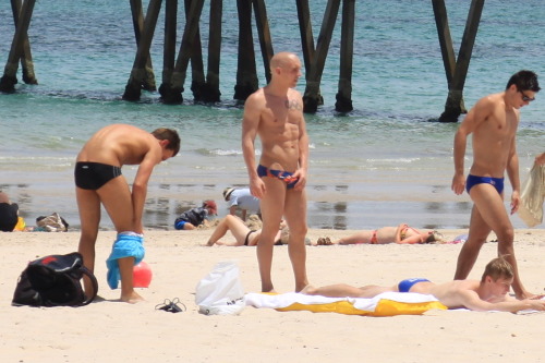 The #1 arse of Great Britain. Anyone kows who the guy next to Tom Daley (in black speedo) is?