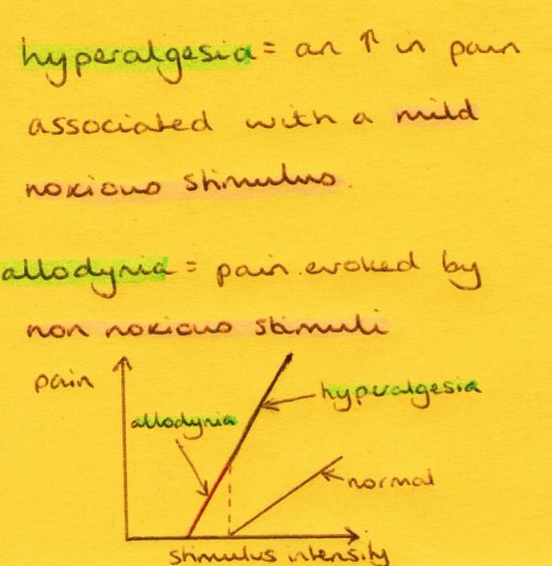 Hyperalgesia and allodynia.