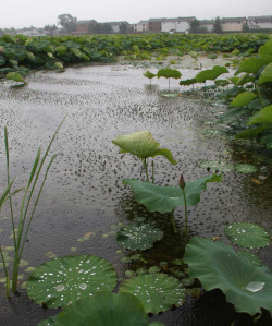 내게 상처