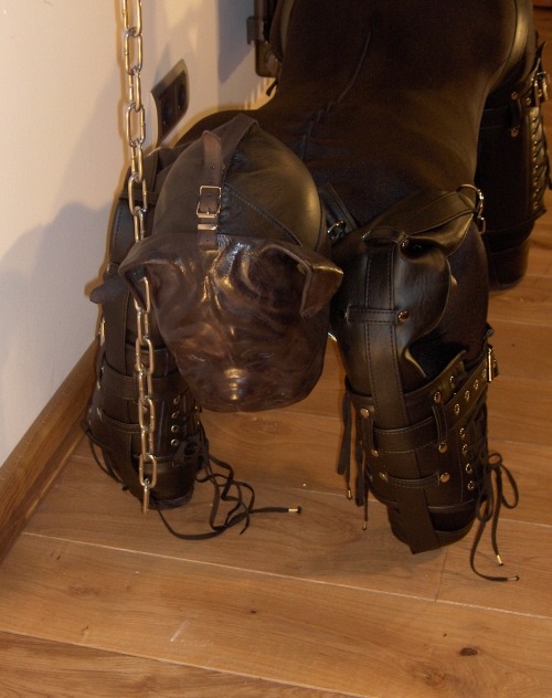 heavy bondage dog training gimp hardshrimp:  Oh yes! Put locks on the buckles, put