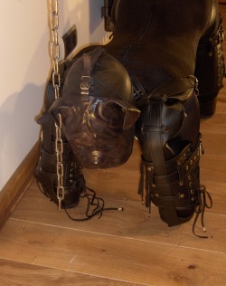 Heavy Bondage Dog Training Gimp Hardshrimp:  Oh Yes! Put Locks On The Buckles, Put