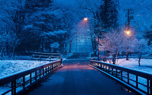 japanesecontent: Streetlight : Nikko, Tochigi, Japan / Japón (by Lost in Japan, by Migue