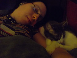 Cat nap :3