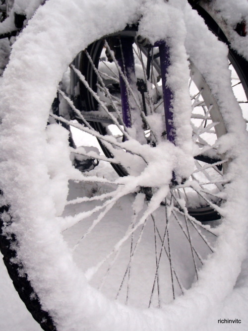 richinvitc: snowy wheel