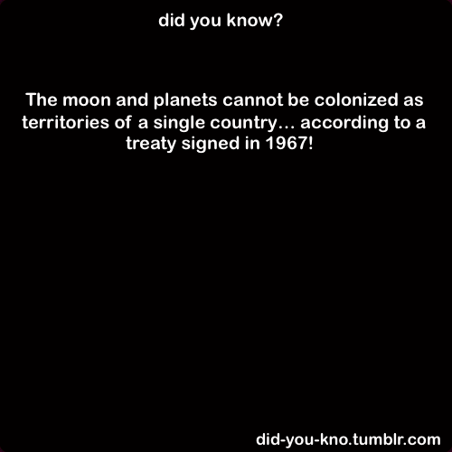 did-you-kno:  Source